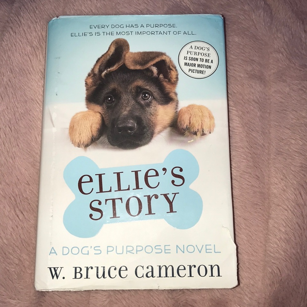 A novel